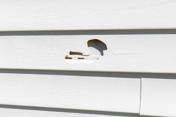 Best Shed Removal  in Rkville, PA